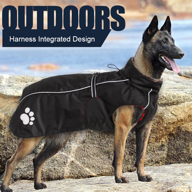 High Quality 5XL Large Dog Clo - Quality Winter Clothing Jacket บทวิจารณ์และราคา